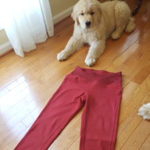 Black Diamond Levitation Leggings